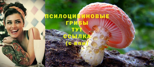 бутират Няндома