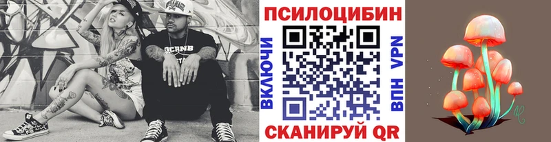 Купить где  Оса  Галлюциногенные грибы GOLDEN TEACHER 